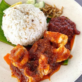 Nasi Lemak Sotong